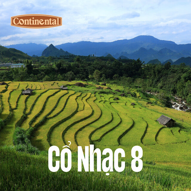 Cổ Nhạc Continental Số 8 - Cay Đắng Tình Đời - Chiều Chia Ly