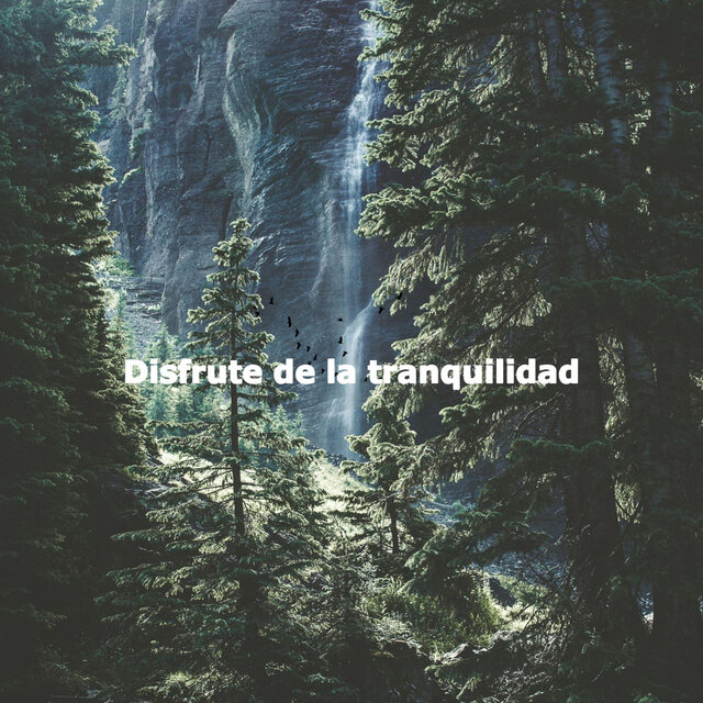Disfrute de la tranquilidad