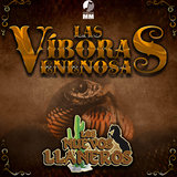 Las Viboras Venenosas