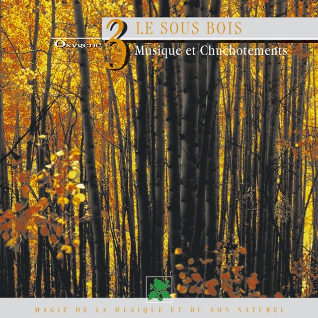 Oxygène 3 : Le sous-bois (Musique et chuchotements)