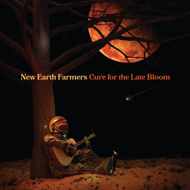 Cover art for album How Did You Find Me? by New Earth Farmers