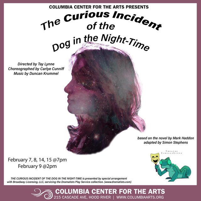 The Curious Incident of the Dog in the Night-Time (Original Theatrical Soundtrack)