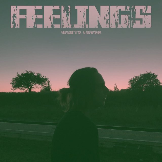 Feelings