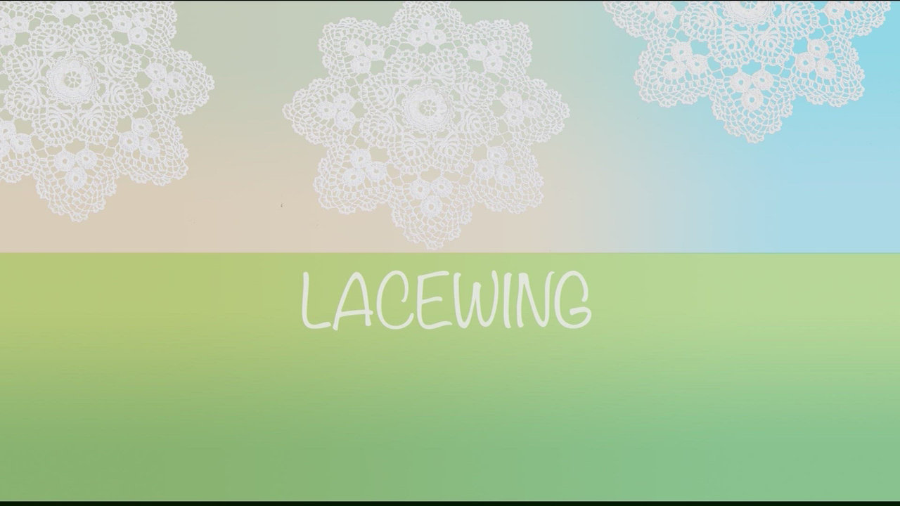 Lacewing