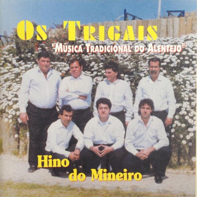 Hino do Mineiro