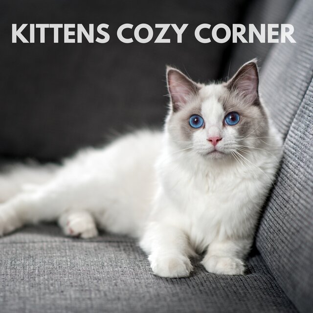 Kittens Cozy Corner