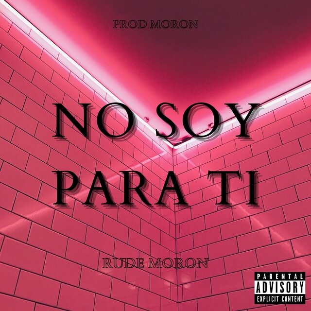 No Soy Para Ti