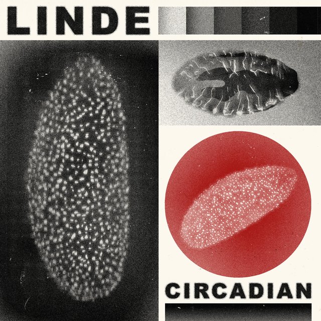 Circadian