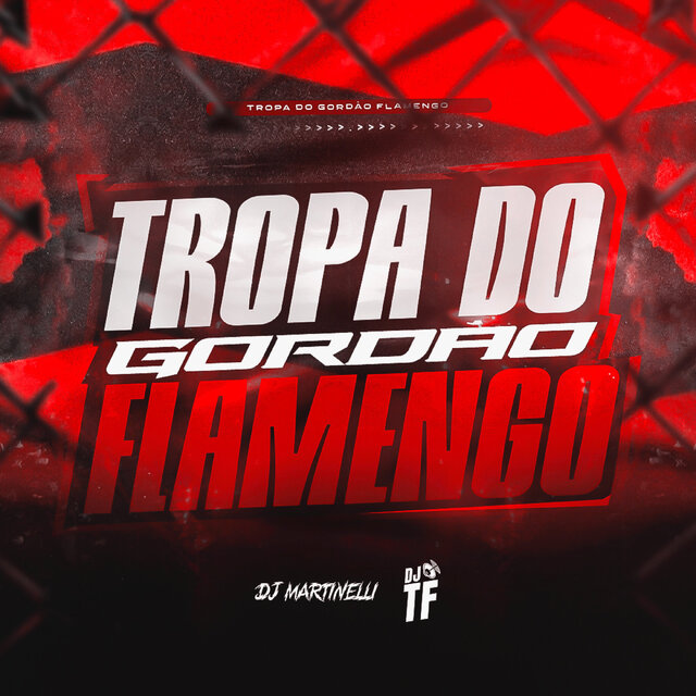 TROPA DO GORDÃO FLAMENGO