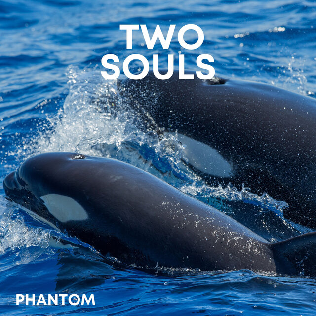 Two Souls