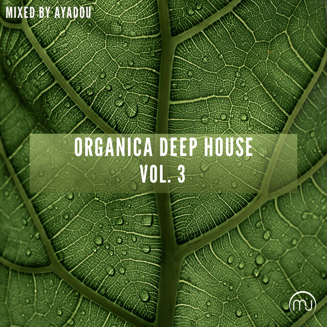 Organica Deep House Vol. 3 (Mixed by Ayadou)