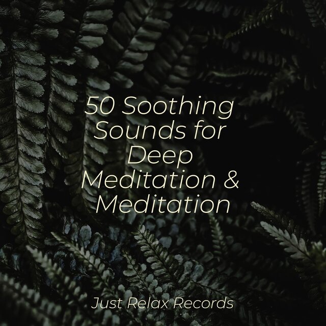 50 Soothing Sounds for Deep Meditation & Meditation