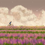 茉莉花