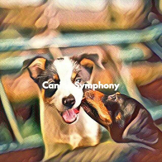 Canine Symphony