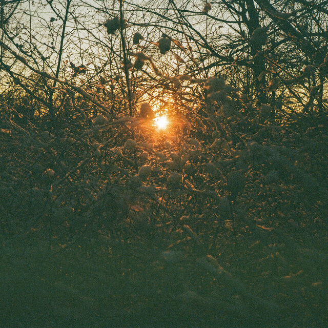 Tøbrud (Lauge Rework)