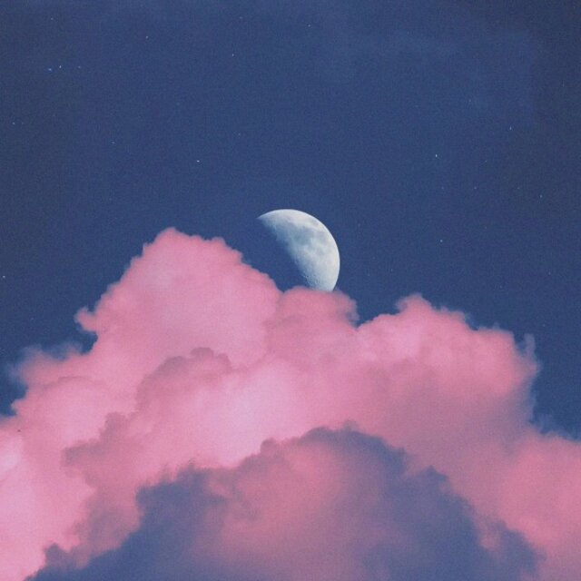 Velvet Nightfall