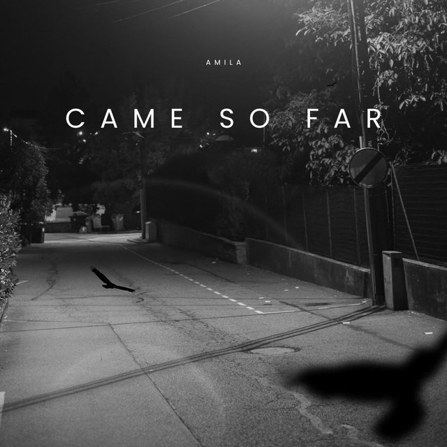 Came So Far