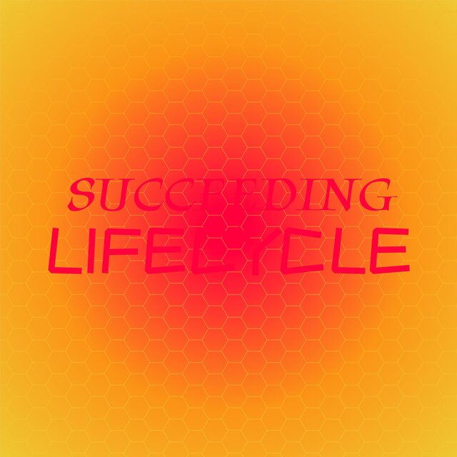 Succeeding Lifecycle