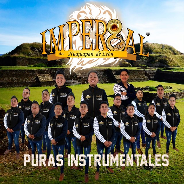Puras Instrumentales