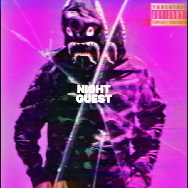 NIGHT GUEST