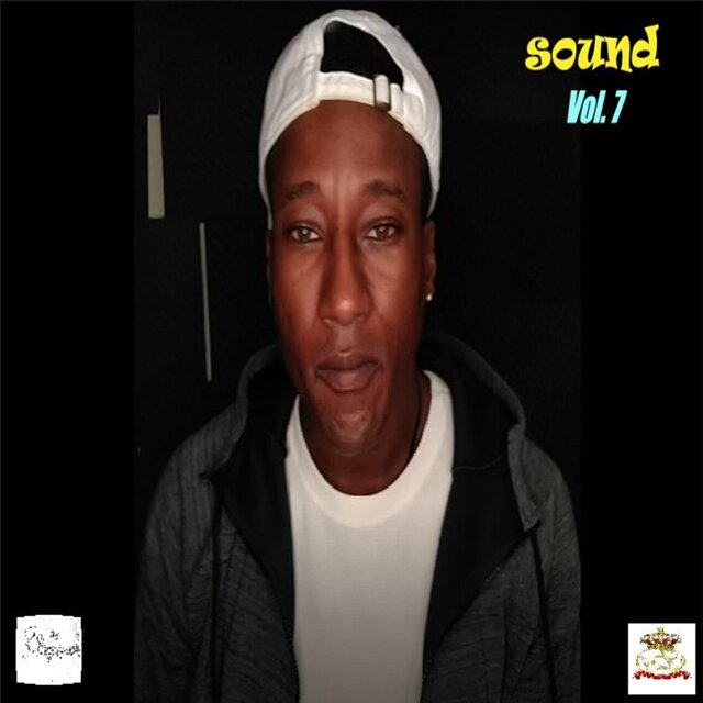 Hawk Sound, Vol. 7