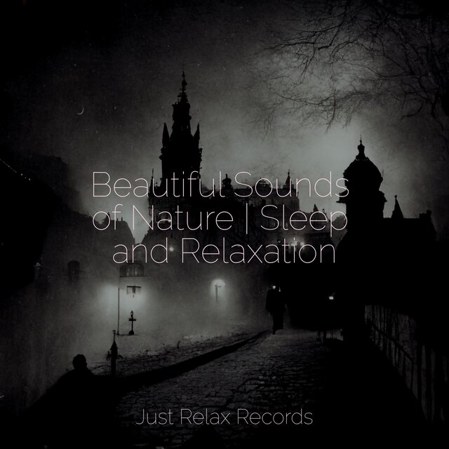Beautiful Sounds of Nature | Sleep and Relaxation