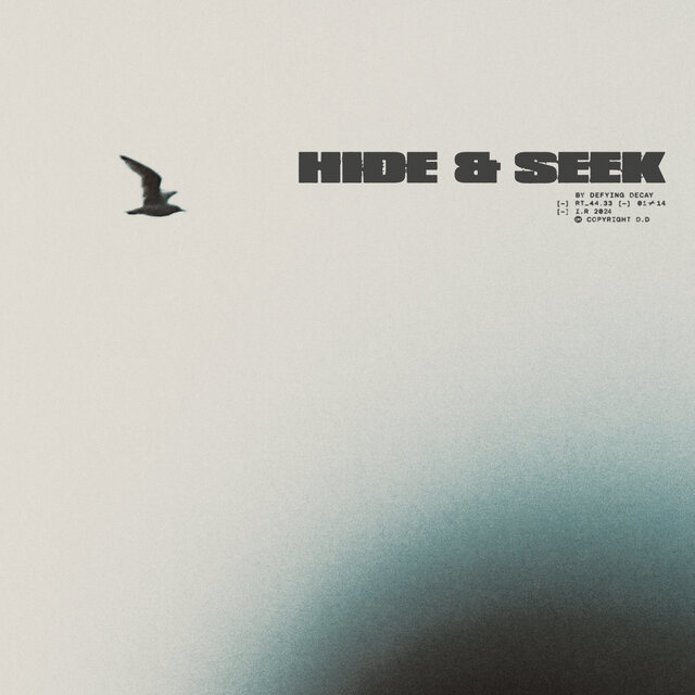 Hide & Seek
