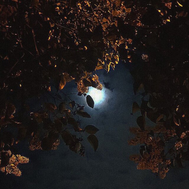 Insomnia