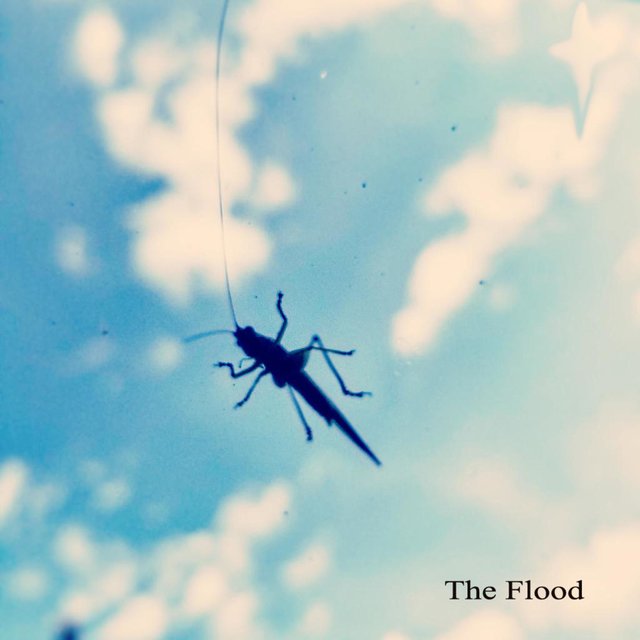 The Flood