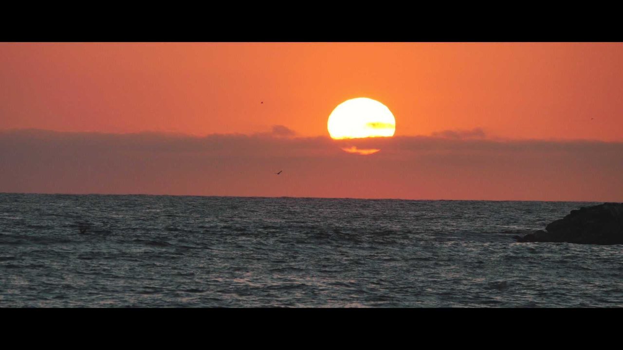 Staring At The Sun