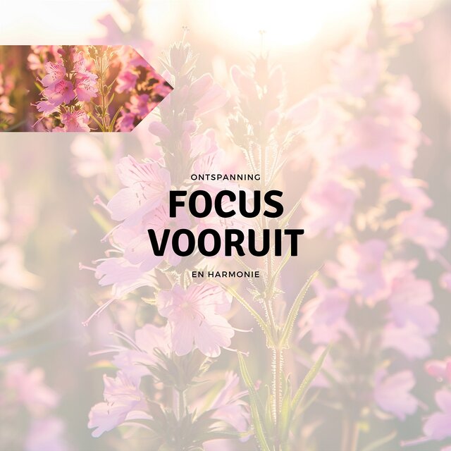 Focus Vooruit