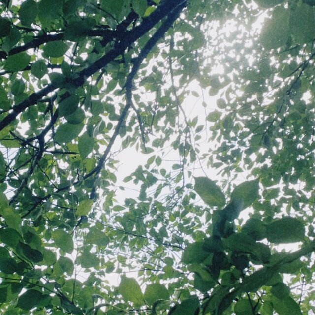 Green moment