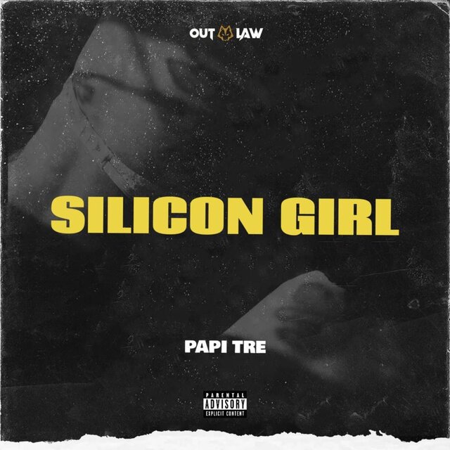 Silicon Girl