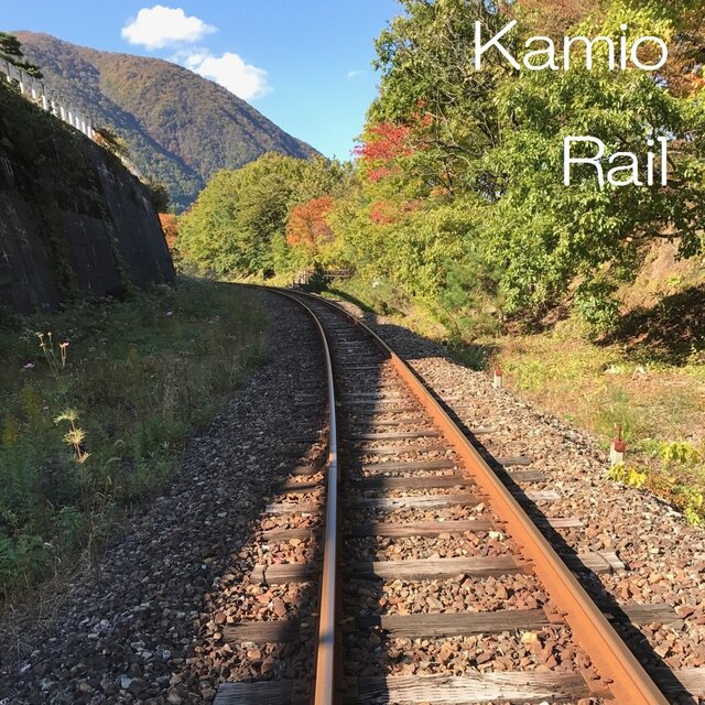 Rail