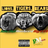 Lions, Tigers, Bears (feat. Big-E Eli & Rasheed)
