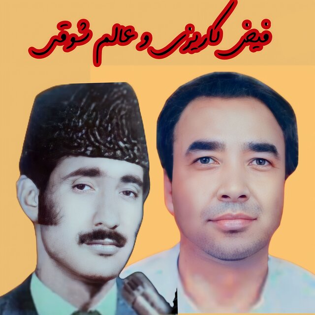 Toor Zulfan