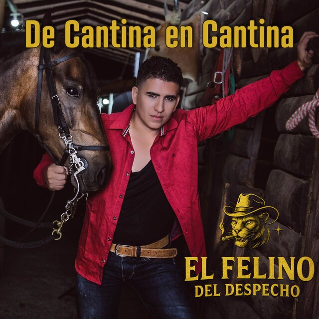 De Cantina En Cantina