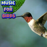 Grooming Music