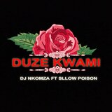 Duze kwami