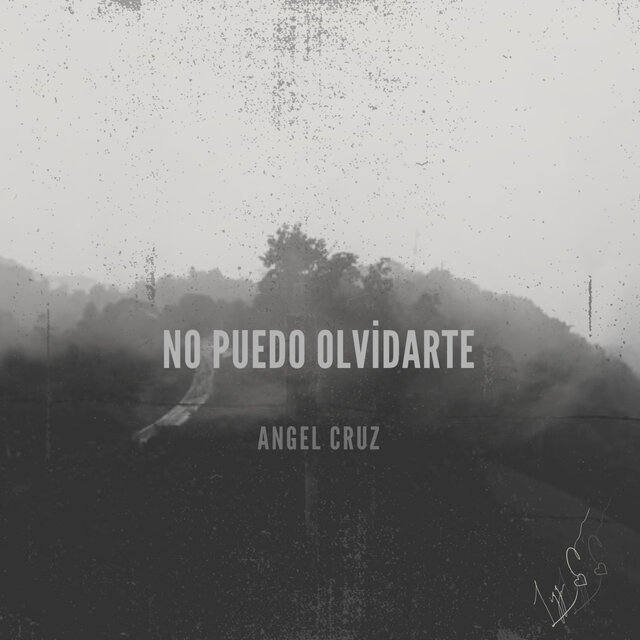 No Puedo Olvidarte