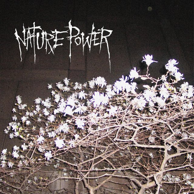nature power