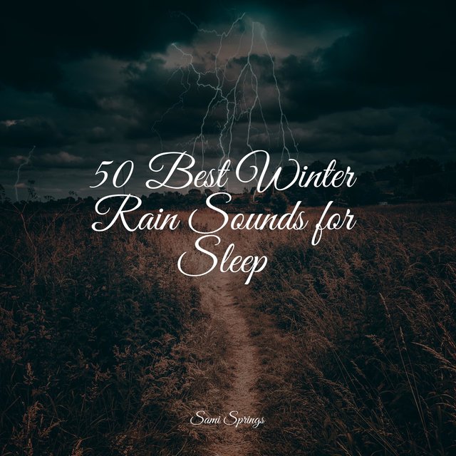 50 Best Winter Rain Sounds for Sleep by Exam Study Classical Music on TIDAL