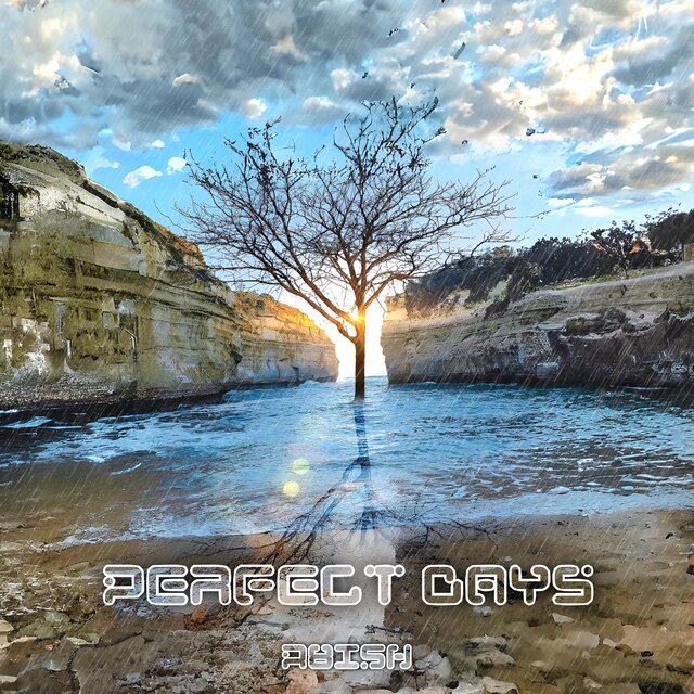 Perfect Days