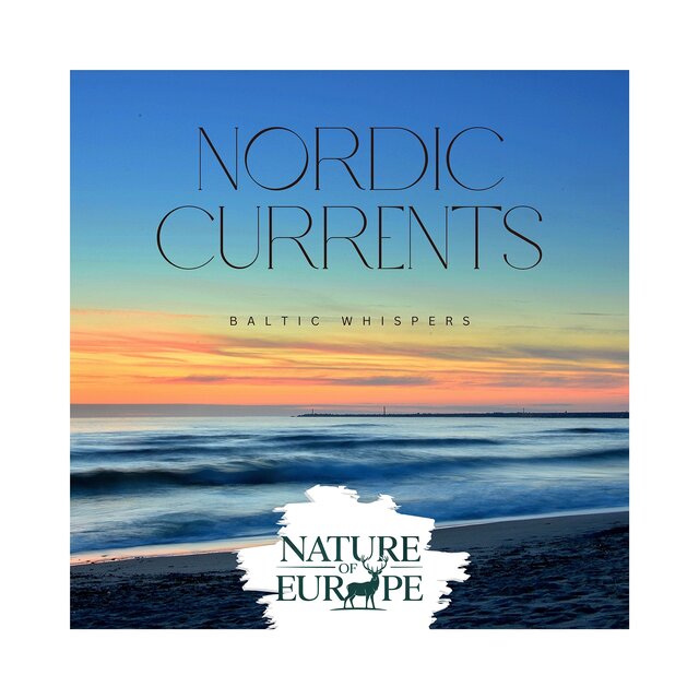 Nordic Currents: Baltic Whispers