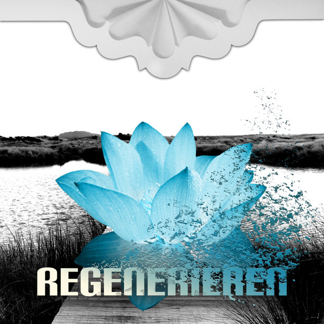 Regenerieren - Entspannungsmusik und Vipassana Meditation, Musiktherapie für Wellness, Yoga-Übungen, Sauna oder Spa, Naturgeräusche, Ganzkörpermassage