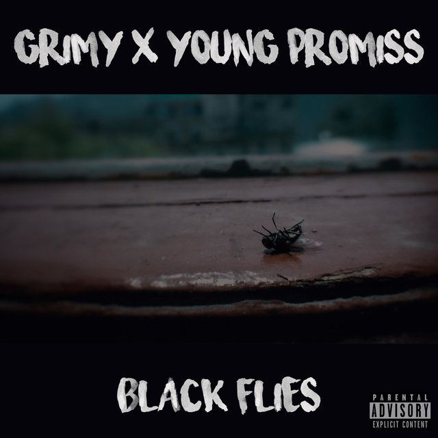 Black Flies (feat. Young Promiss)
