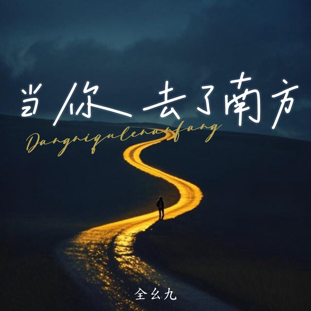 当你去了南方 (DJ版)