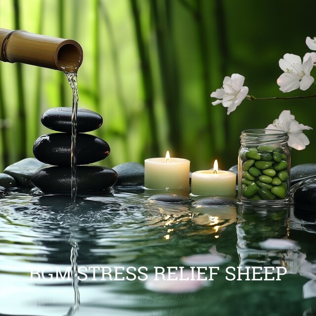 Stress Relief: Gentle Sheep Sounds for Relaxation