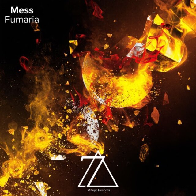 Mess