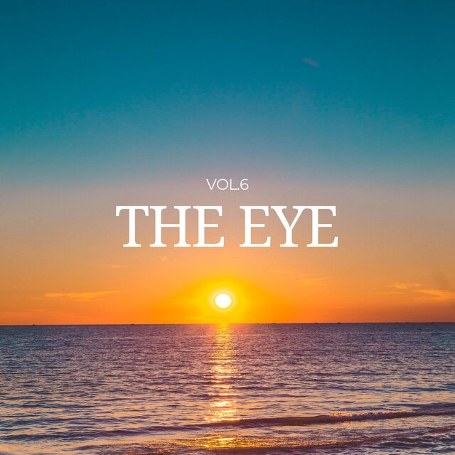 vol.6